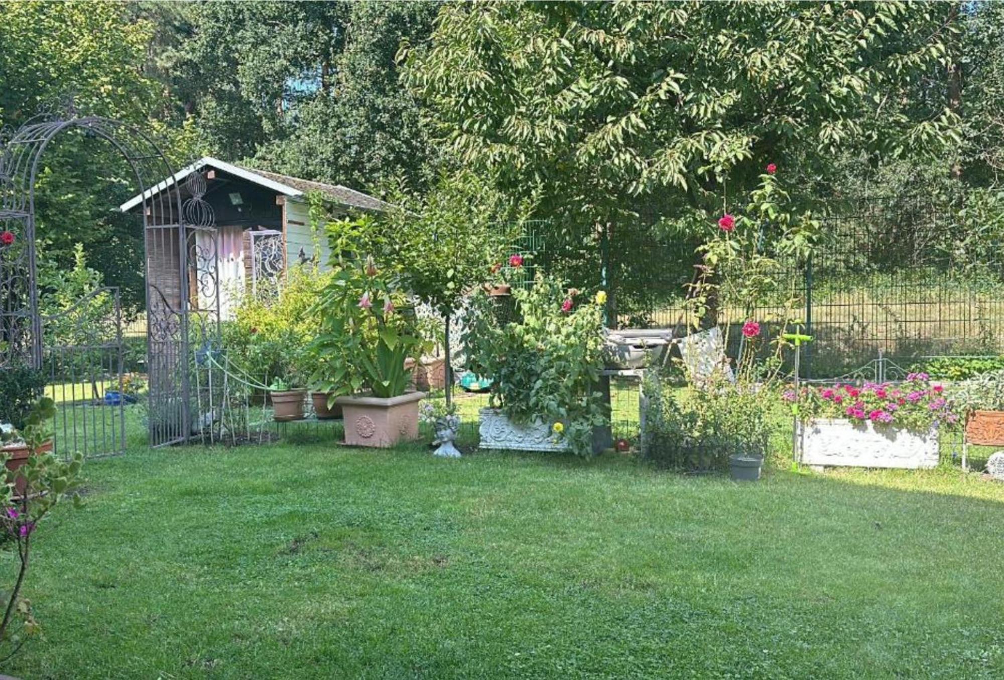 Grosse Helle Wohnung Am Wald In Bad Saarow Nahe Gruenheide Und Berlin Souterrain Eksteriør bilde